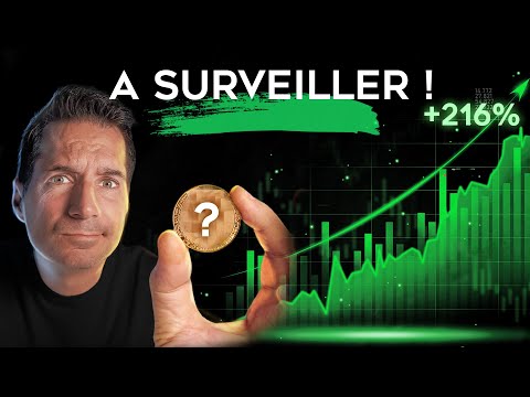 Inflation, Tesla et ces nouvelles Cryptos qui envahissent le marché !